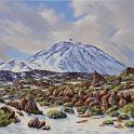 S_TEIDE_NEVADO