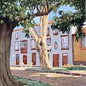 laguna_calles