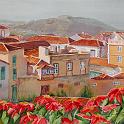 orotava04
