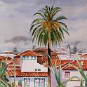 palmera_laguna