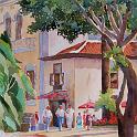 plaza_charco_pinguino