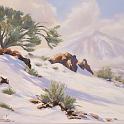 teide_nevado1