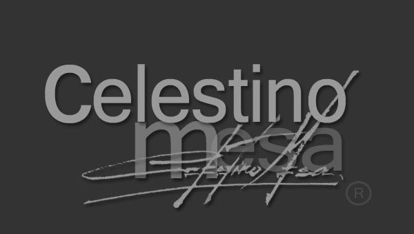 Celestino Mesa Pintura y dise&ntilde;o