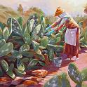 cogiendo_cochinilla
