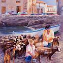 ordeNando_cabras_pto