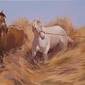 trilla_con_caballos